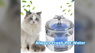 Automatic Pet Water Dispenser