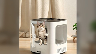 Smart Pet Feeder Auto Dispenser Dog Cat Food