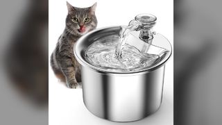 Stainless Steel Pet Water Fountain 2.2L