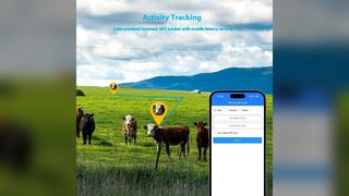 Livestock GPS Tracker Real Time Tracking