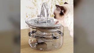 Transparent Pet Water Bottle Feeder FT100