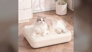 Unlock Amazing Benefits See Our Product Advantages