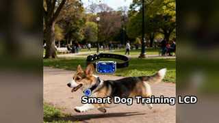 Dog Training Collar LCD Screen Dog Fence