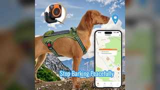 Stop Dog Barking Effectively Rechargeable Bark Collar
