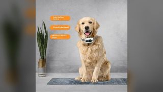 Stop Dog Barking Waterproof Pet Training Device