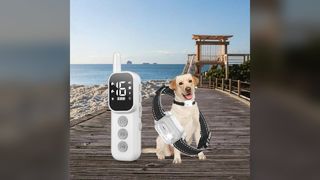 Dog Trainer Collar Beep Vibration Shock IP67