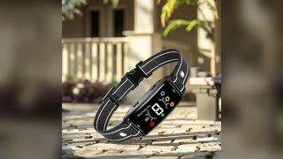 Waterproof Dog Training Collar Rechargeable